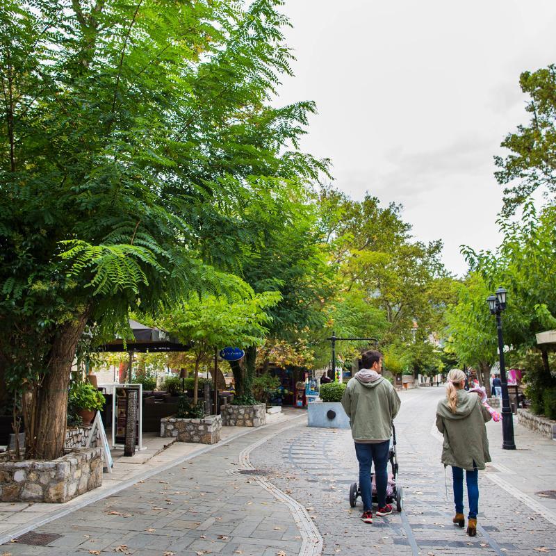 Kalavrita Canyon Hotel & Spa Dış mekan fotoğraf